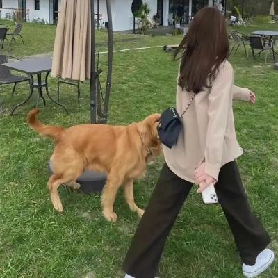 与世界的最后一眼相遇